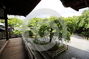 Japan temple wood walk way with Japanese garden , Kyoto Temple Japan