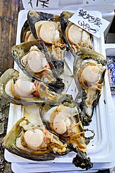 Japan. Tokyo. The Fish Market. Oysters