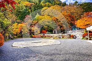 Japan Travel Ideas. Tradtional Japanese Garden With Seasonal Red Maple Trees Near Lake Kawaguchiko At Fall in Japan