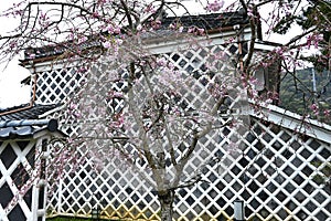 Japan Travel. Traditional Japanese wall pattern, called Namako Wall in Japan. photo