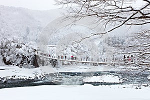 Japan at winter