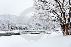 Japan at winter
