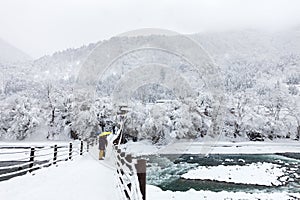 Japan at winter