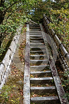 Japan zen path in a garden, park in autumn season and maple tree