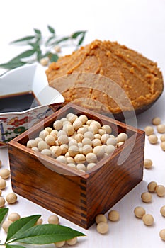 Japaneese traditional soybean processed foods