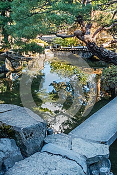 Japanes Garden Pond Reflection 2