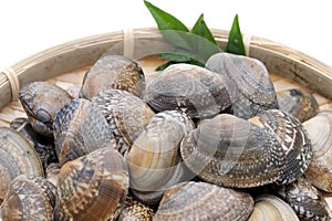 Japanese asari clams in a bamboo basket