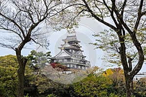 Japanese Autumn color of Okayama castle in Okayama, Japan