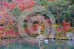 Japanese autumn garden