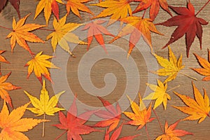 Japanese autumn maple leaf on brown wood background
