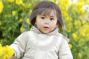 Japanese baby girl and yellow field mustard