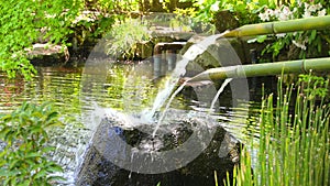 Japanese bamboo fountain cinemagraph