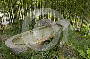 Japanese bamboo water fountain