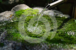 A Japanese Bamboo Water Fountain Shishi-Odoshi in Zen Garden