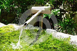 A Japanese Bamboo Water Fountain Shishi-Odoshi in Zen Garden