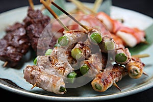 Japanese barbecue skewers assorted plate