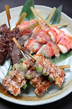 Japanese barbecue skewers assorted plate