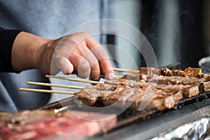 Japanese barbecue skewers