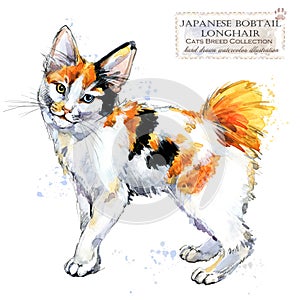 Japanese Bobtail Longhair cat. watercolor home pet illustration. Cats breeds series.