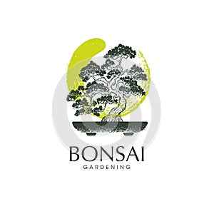 Japanese Bonsai Garden Tree Logo. Plant Silhouette Organic Icon Sign With Zen Circle. Creative Vector Illustration