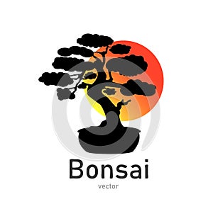 Japanese bonsai tree. Black logo, icon of a tree in a pot on a background of the sun. Bonsai silhouette vector