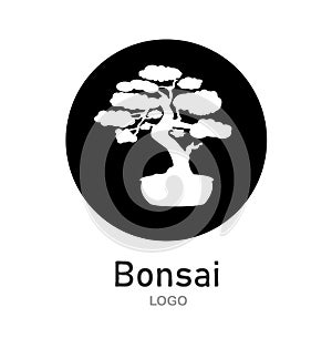 Japanese bonsai tree. Black round logo, tree icon. Bonsai silhouette vector illustration on isolated white background