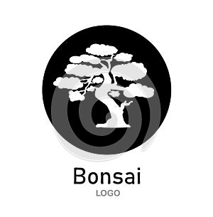 Japanese bonsai tree. Black round logo, tree icon. Bonsai silhouette vector illustration on isolated white background