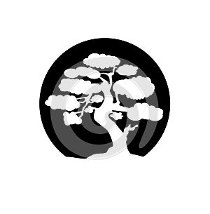 Japanese bonsai tree. Black round logo, tree icon. Bonsai silhouette vector illustration on isolated white background