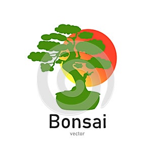 Japanese bonsai tree. Green logo, icon of a tree in a pot on a background of the sun. Bonsai silhouette vector