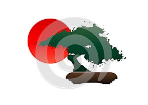 Japanese bonsai tree logo, black plant silhouette icons on white background, green ecology silhouette of bonsai and red sunset