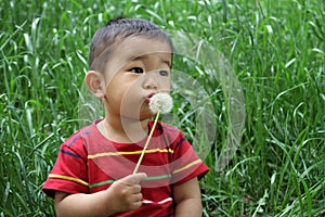 Japanese boy blowing dandelion seeds