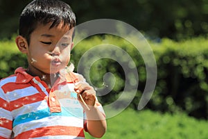 Japanese boy blowing dandelion seeds