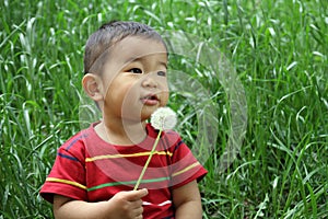 Japanese boy blowing dandelion seeds