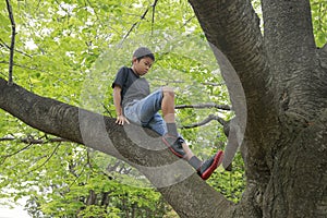 Japanese boy climbing the tree