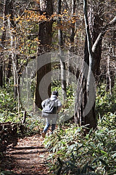 Japanese boy on a hike