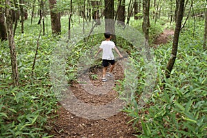 Japanese boy on a hike