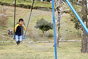 Japanese boy on the swing