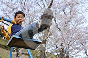 Japanese boy on the swing