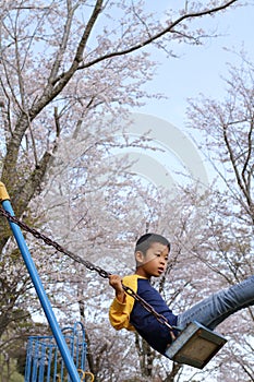 Japanese boy on the swing