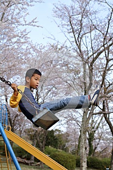 Japanese boy on the swing