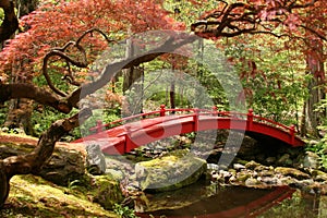 Japanese Bridge