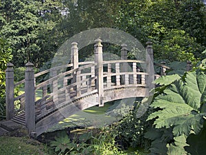 Japanese Bridge