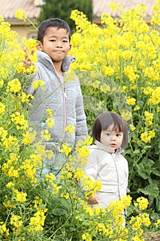 Japanese brother and sister in yellow field mustard