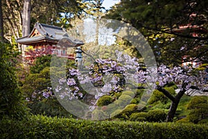 Japanese Building in garden.