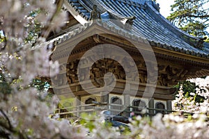 Japanese building in garden.