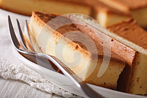 Japanese cake kasutera close-up on a plate. horizontal