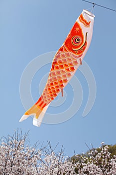 Japanese carp kite