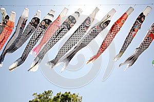 Japanese carp kite streamer