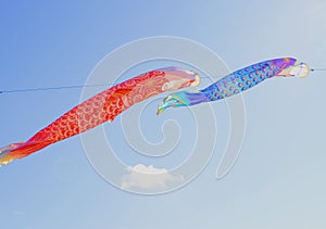 Japanese carp kites