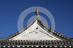 Japanese Castle Roof